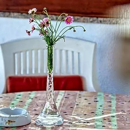 1644 באניולה